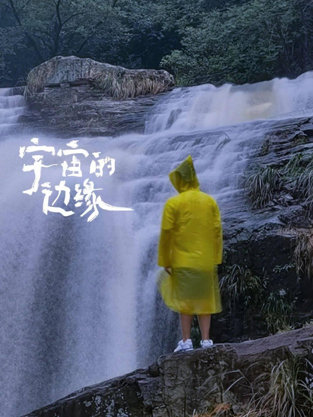 救援可爱的狮子